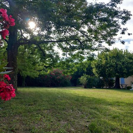 فيلا Le Petit Mas Des Alpilles En Provence Saint-Étienne-du-Grès المظهر الخارجي الصورة